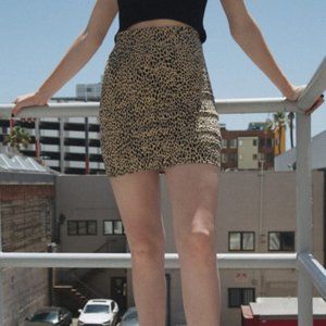 NWOT Brandy Melville Pheobe Skirt--RARE